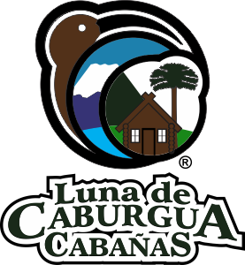 Cabañas Luna de Caburgua